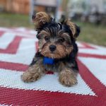 Hiatt william Mackay - @hiattwilliammck - Instagram