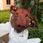 William Hickox - @williamhickox - Instagram