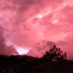 William Hidalgo - @williamhidalgo - Instagram
