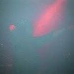 William Hieb - @hieb.william - Instagram
