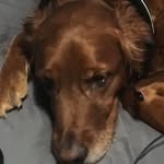 @william_hieb - Instagram