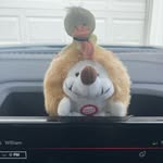 William Hieber - @william.hieber - Instagram