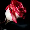 William Holding - @williamholding539 - TikTok