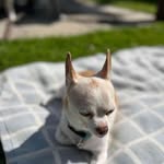 William Hillock - @hillock.william - Instagram