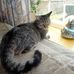 William Heiser - Facebook