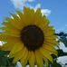 William Hobbie Photography - Facebook