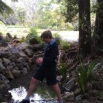 William Hocking - @willhocking - Instagram