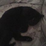 William Hodgkinson - @william.hodgkinson.758 - Instagram