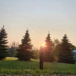 William Hofer - @wil_l637 - Instagram