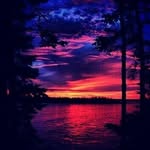 William Hofer - @williamh697 - Instagram