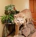 William Hofer - Facebook