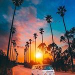 William Hoffman - @bigwilliam58 - Instagram