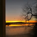 William Holifield - @williamholifield - Instagram