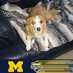 Vicki Williamson-Hollenbeck - @williamsonhollenbeck - Instagram