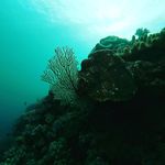 William Hollifield - @whollifield21 - Instagram