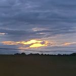 William Hollifield - @william.hollifield.313 - Instagram