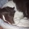 William Backer-holst - @william.backerhol - TikTok