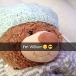 William Holst Abrahamsen - @williamholstabrahamsen - Instagram