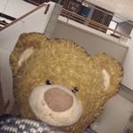 William Holst Abrahamsen - @william.holst.abrahamsen - Instagram