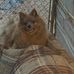 William Holston - Facebook