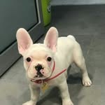 William hooks - @william_hooks4 - Instagram