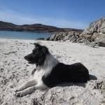 William Hoon - @williamhoon46 - Instagram