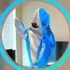 Willie Houghtaling - @williehoughtaling698 - TikTok