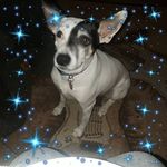 William Huff - @william.huff.737 - Instagram
