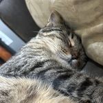 William Huff - @w.c.huff - Instagram