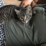 William Hufford - @william.hufford - Instagram