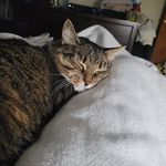 William Huggett - @williamhuggett - Instagram