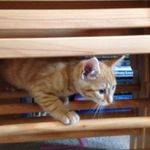 William Huggett - @huggettw - Instagram