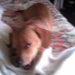 William Hulett - @william.hulett.946 - Instagram