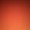 williamhulsey816 - @williamhulsey816 - TikTok