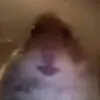 William Human - @william_human_2000 - TikTok