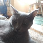 william hungate - @william.hungate - Instagram