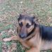 William Hutchens - Facebook