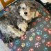 William Huxtable - Facebook