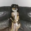 William Hyde - @williamhyde47 - TikTok