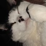 William Ickes - @skilledwill - Instagram