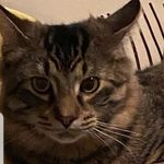 james - @williamimhoff112021 - Instagram