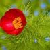 William Jackson - Facebook