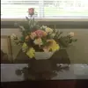 williamjackson_ - @williamjackson_ - TikTok