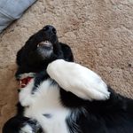 William Jaques - @william.jaques.39 - Instagram