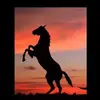 William Jaramillo - @william.jaramillo54 - TikTok