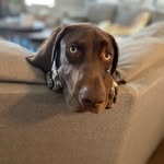 William Jared Henry - @moose_mcboone - Instagram