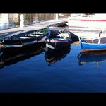 williamjared - @williamjared - Instagram
