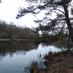 William Jarosz - @william.jarosz.10 - Instagram