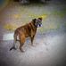 Bill Jelinek - Facebook