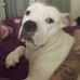 William Jenks - Facebook